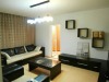 Apartament Mihai Bravu