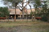 The River Lodge At Thornybush