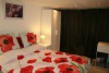 Cozy Suite on edge of Amsterdam/Amstelveen