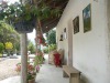 La Candelaria Coffee Farm B&B