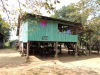 Great Hornbill Homestay