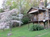 Brevard Inn and Cabins