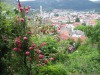 Guesthouse Panorama