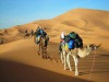 Morocco Desert Trek