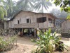 Banded Kingfisher Homestay