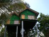 Yala Eco Tree House