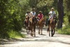 Viverde Hotel Berke Ranch