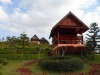 Khao Kho Flora