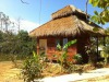 Rabbit Bungalow