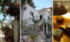 The Artist's House Overlooking the Bay of Haifa