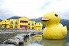 Ducking House