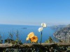 Bacio del Sole B&B Positano