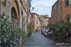 Trastevere Cedro Apartment