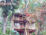 Jungle Jive Tree House Munnar