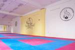 Martial Arts Sleepover Gym