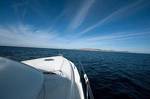 Yacht Charter-Motor Yacht 41FT