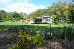 Lily Pad at Byron Bay