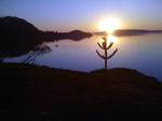 Lago Ranco Parque El Morro