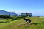 Raufarnes Holiday Home