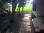 Erathra Homestay