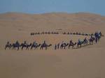 Camel Trekking Sahara Tour