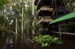 Tapir Lodge