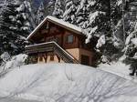 Chalet individuel en Rondin Vologne 3 chambres