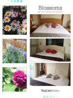 Zhileju Homestay