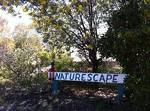 Naturescape