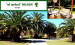 Hostal El Arbol Beach