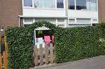 Apartment Sunflower Zandvoort