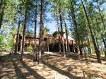 Tahoe Tree House