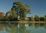 Matahua Cottages