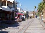 Bodrum Yalikavak Olive Tree Apart