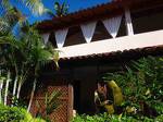 Tropical Beach Garden