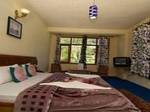 Village Classic Cottage Manali