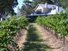 Spicers Vineyards Estate