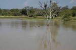 N'kelenga Tented Camp