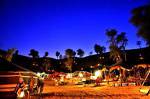 Bedouin Oasis Camp