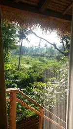 Manusia Dunia Green Lodge