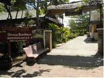 Orchid Guesthouse Kampot