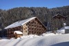 Le Grand Chalet des Pistes