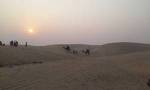 Jamna Desert Safari