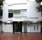 Hotel Palonegro