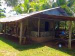 Osa Jungle Cabin