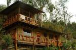 Altai Oasis Eco lodge