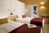 Executive Suite Hotel