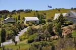 Blue Thistle Cottages