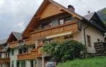 Apartment Bohinj with a Fireplace 370