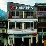 Hotel Platino Plaza